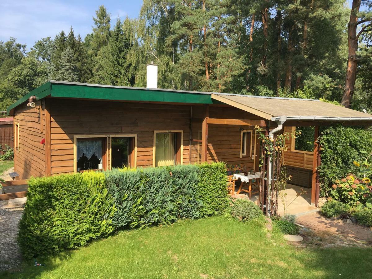 Holzhaus Trollbluemchen Am Wald Und See Neuruppin Eksteriør billede